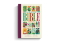 Biggest Story Bible Storybook (Large Format)